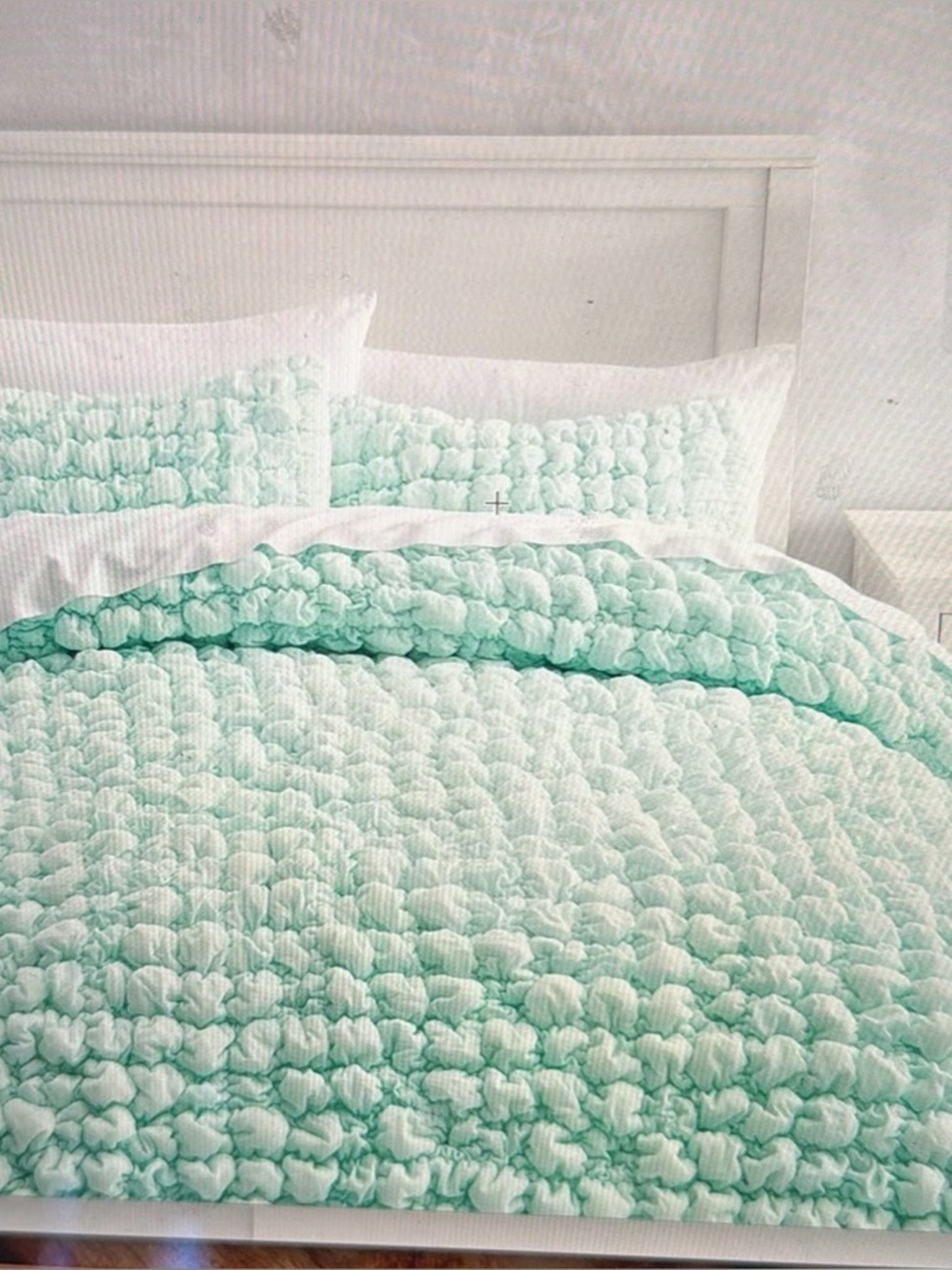 Pottery Barn Teen Mint Ruffled Cotton Comforter Set